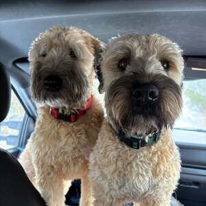 Meet your Posher, Natasha